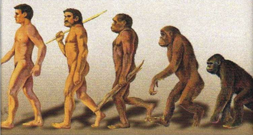 Evolución del hombre