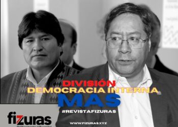 Corrientes del MAS: división o democracia