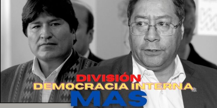 Corrientes del MAS: división o democracia