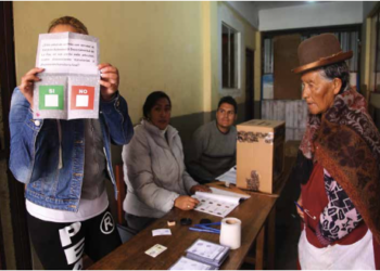 Opinión y cuestionarios | Fiizuras