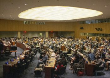 Diplomacia de los Pueblos como instrumento geoestratégico