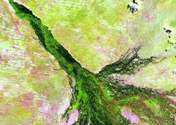 Concurso "Palabras Verdes" | Foto de USGS en Unsplash