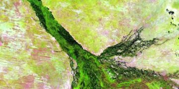 Concurso "Palabras Verdes" | Foto de USGS en Unsplash