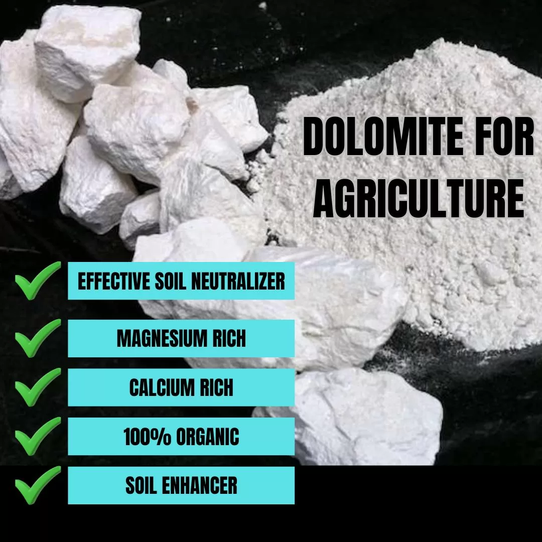 https://fizuras.xyz/2024/09/12/dolomite-agriculture/