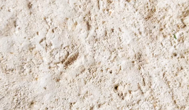 Foto de Maxim Simonov en Unsplash