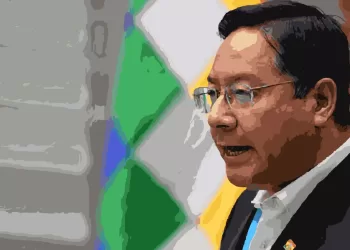 Apuntes del escenario política boliviano IV | Fizuras