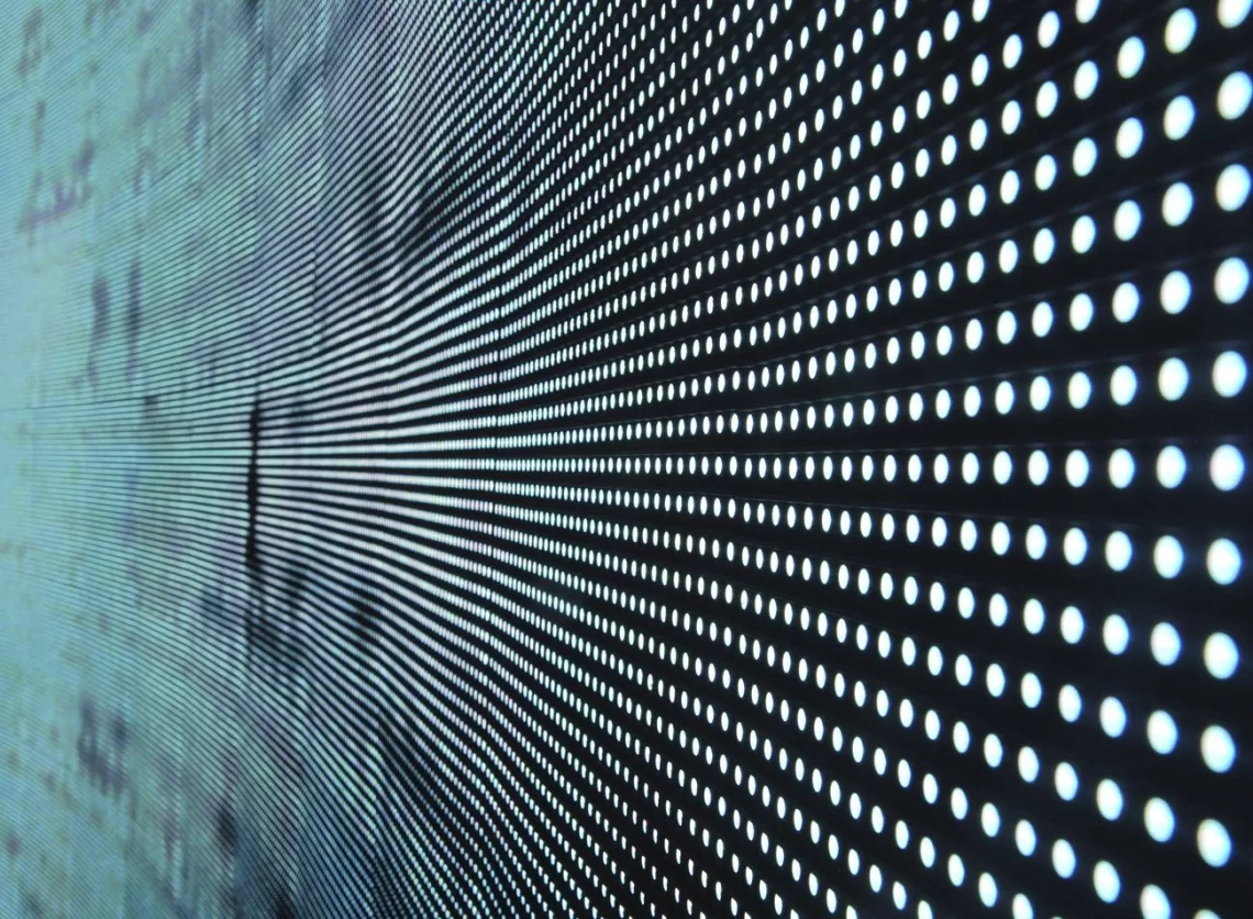 ¿Está la libertad en riesgo? | Revista Fizuras