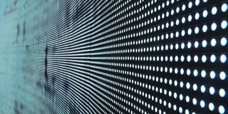 ¿Está la libertad en riesgo? | Revista Fizuras